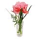 Carnation in a glass vase with water Island. Plants. best-coll-mos. Online shopping on My Livemaster.  Фото №2