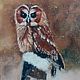 Oil painting 'the Owl', Pictures, St. Petersburg,  Фото №1