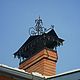  Колпак кованый на трубу. Искрогаситель. Камины. Андрей (ochag). Интернет-магазин Ярмарка Мастеров.  Фото №2