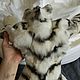 Order Furry tiger (67 cm-on request ). Dilara. Livemaster. . Stuffed Toys Фото №3