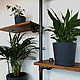 Order Copy of Copy of Industrial style wall shelves made of wood and pipes. dekor-tseh. Livemaster. . Shelves Фото №3