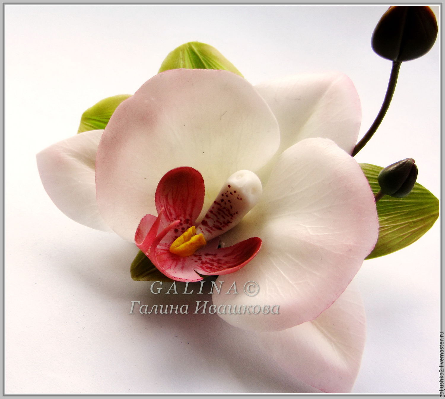 Орхидея из холодного фарфора мастер класс с пошаговым фото