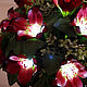 Order Bouquet-light of bells 'Poppy color'. Elena Krasilnikova. Livemaster. . Nightlights Фото №3