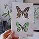  Butterflies watercolor work collectible. Pictures. vettochka. Online shopping on My Livemaster.  Фото №2