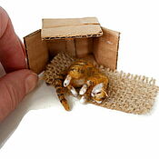Куклы и игрушки handmade. Livemaster - original item Ginger cat in a box miniature for a dollhouse. Handmade.
