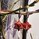 Earrings with Merkaba Stone Star of David Amulet Protective Strong. Amulet. milo-svehi-mag (milo-svehi-mag). My Livemaster. Фото №4