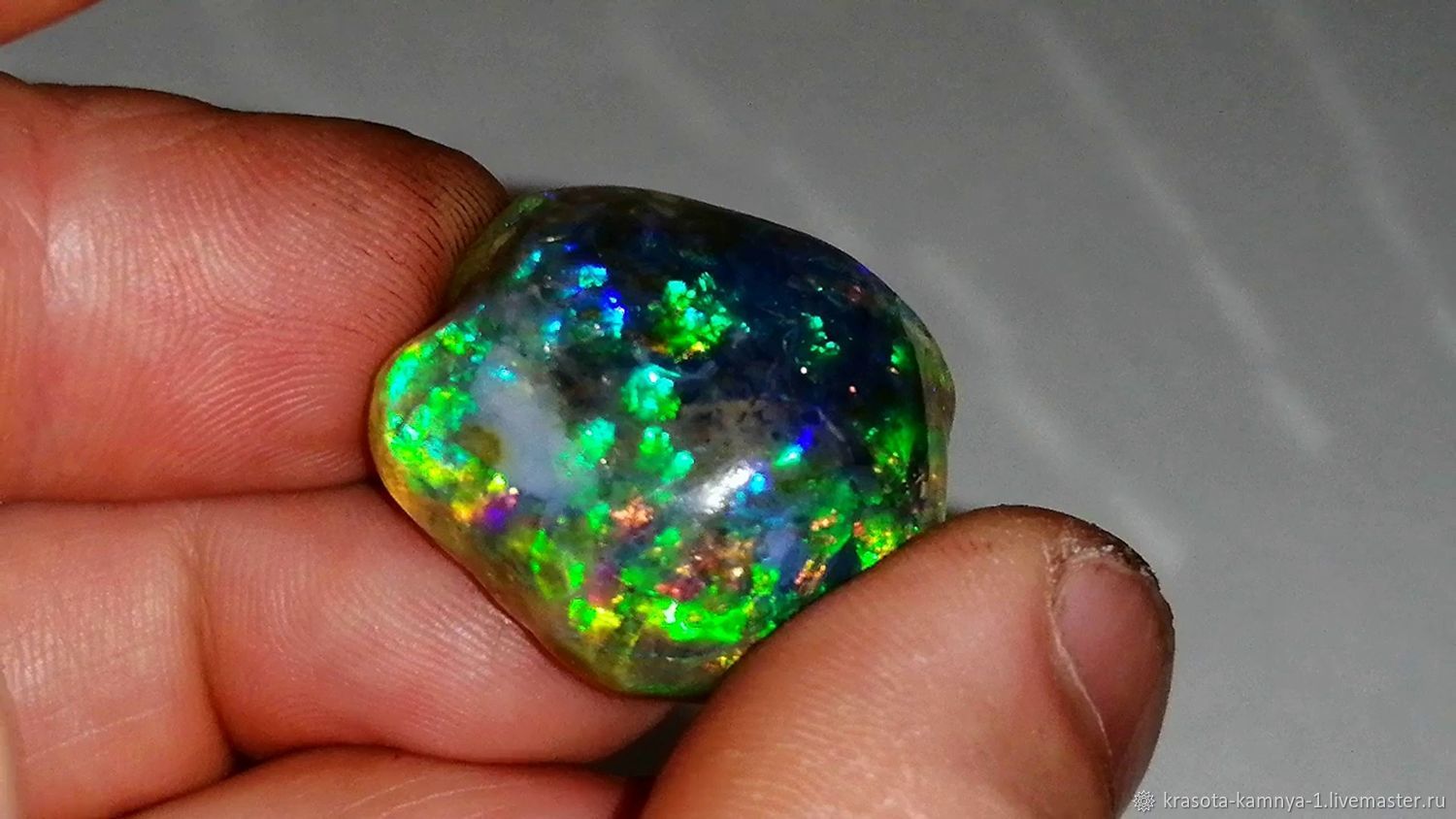 Охотники за опалами 11. Охотники за опалами 11. Охотники за опалами 11. Охотники за опалами 11. Охотники за опалами 11.