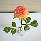 Заказать Роза Эсперанс из полимерной глины (холодный фарфор). Брю (lifelike-flower). Ярмарка Мастеров. . Букеты Фото №3