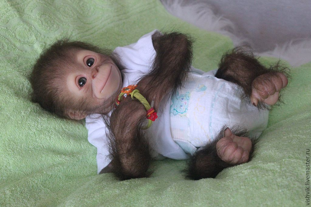 Одежда для обезьянок живых из зоомагазина
