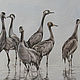 Drawing Cranes, Pictures, Omsk,  Фото №1