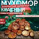 Мухомор красный 100г (ЗАКРЫТЫЕ), Дух-помощник, Новозыбков,  Фото №1