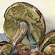  White went. Still life with mushrooms. Watercolor. Pictures. zazulla (zazulla). My Livemaster. Фото №5