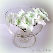 e9bec5bc71663da3bd31e636e4q0