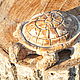 Garden figurine Turtle in the style of Provence concrete. Garden figures. Decor concrete Azov Garden. My Livemaster. Фото №4