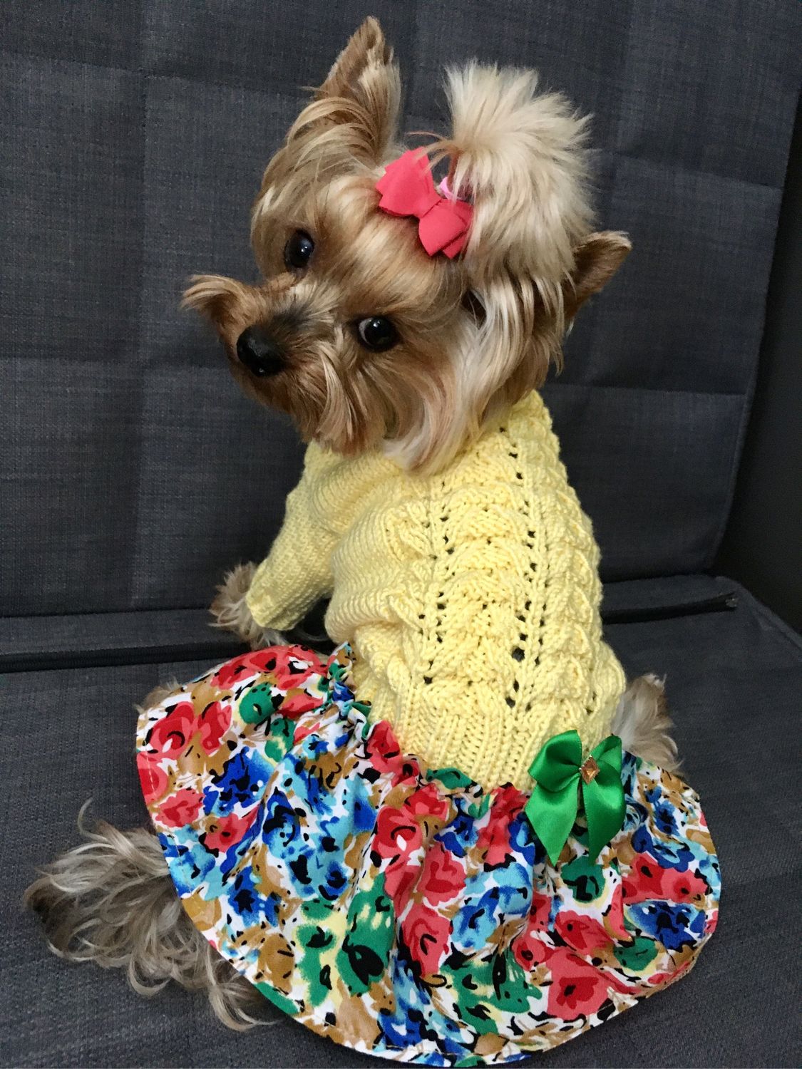 Вязанная одежда для собак