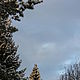 "Из темноты на свет шагну" коллекция фотокартин. Фотокартины. OrehovayaSonyaN. Ярмарка Мастеров.  Фото №6