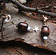 'Forest dreams', earrings with shells, wood and stars. Earrings. legendavincento. My Livemaster. Фото №5