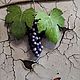 Order The deception painting 'Composition with a vine and a butterfly'. Vladimir Tarasov. Livemaster. . Pictures Фото №3