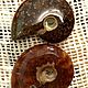 Аммониты ( древние моллюски)  Мадагаскар. Кабошоны. Камни Мира. Ярмарка Мастеров.  Фото №4