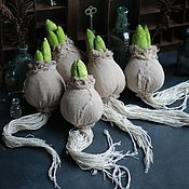 Куклы и игрушки handmade. Livemaster - original item Interior hyacinth bulbs. Handmade.