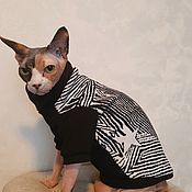 Зоотовары handmade. Livemaster - original item Clothing for cats Sweatshirt with velvet inside 