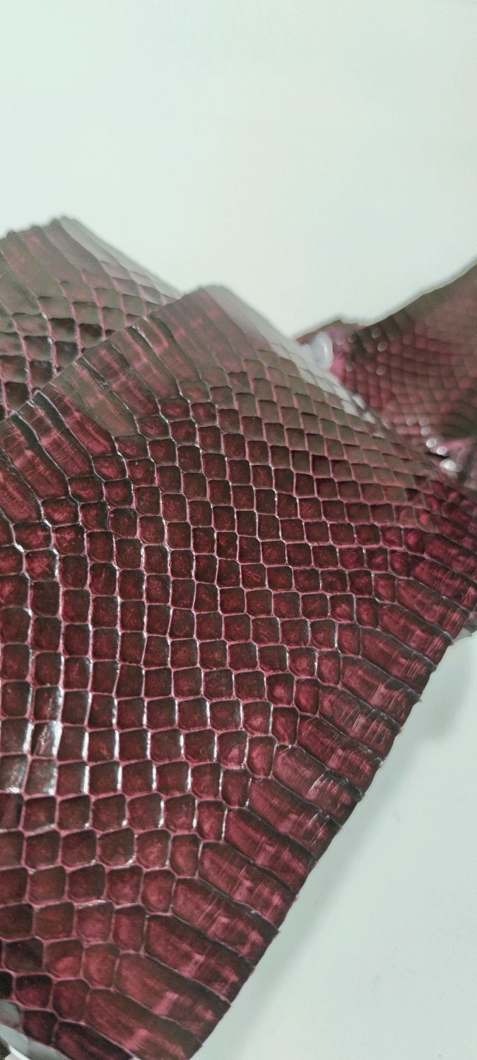 Натуральная кожа водяной змеи купить в интернет-магазине Ярмарка ...