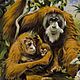 Винтаж: Винтажная тарелка ORANG-UTAN от HEINRICH. Тарелки винтажные. Farfor Сlub. Интернет-магазин Ярмарка Мастеров.  Фото №2