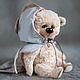 Мишка тедди в плаще дракона. Мишки Тедди. Teddy by Olga Prokudina. Интернет-магазин Ярмарка Мастеров.  Фото №2