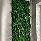 Заказать Круглое панно из мха. Nature Walls|Вертикальное озеленение. Ярмарка Мастеров. . Фитокартины Фото №3