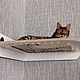 Hammock wicker corner 'cat's dream'. Pet Hammock. VIMBESK. My Livemaster. Фото №14