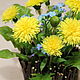 Bouquet ' Dandelions with forget-me-nots'. Composition. decoreka. Online shopping on My Livemaster.  Фото №2