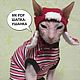 МК-новогодняя ушанка для кошки/кота, Схемы вязания, Клин,  Фото №1