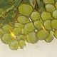 Заказать Happy Grapes. Екатерина Королькова. Ярмарка Мастеров. . Столы Фото №3