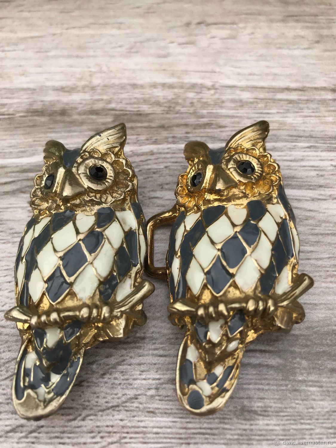 The clasp for the belt, 'Owls', the Netherlands, Vintage accessories, Arnhem,  Фото №1