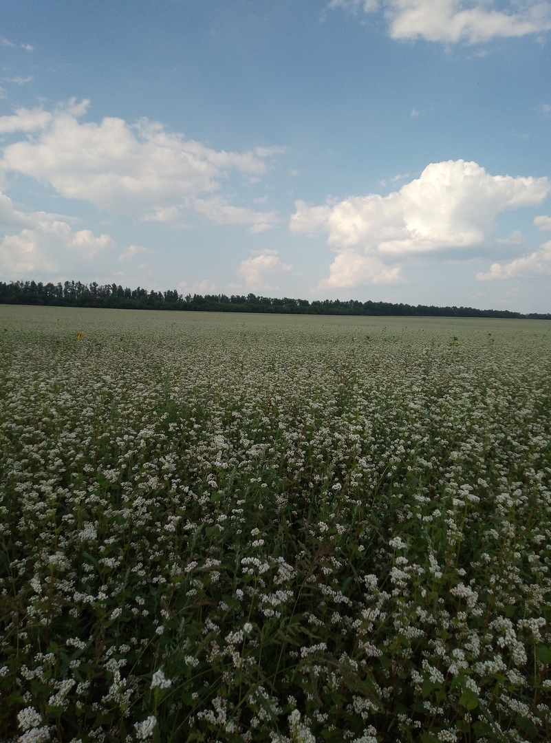 Мой профиль