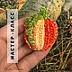 Мастер-класс (PDF). Тыква (брошь), Схемы для вязания, Москва,  Фото №1