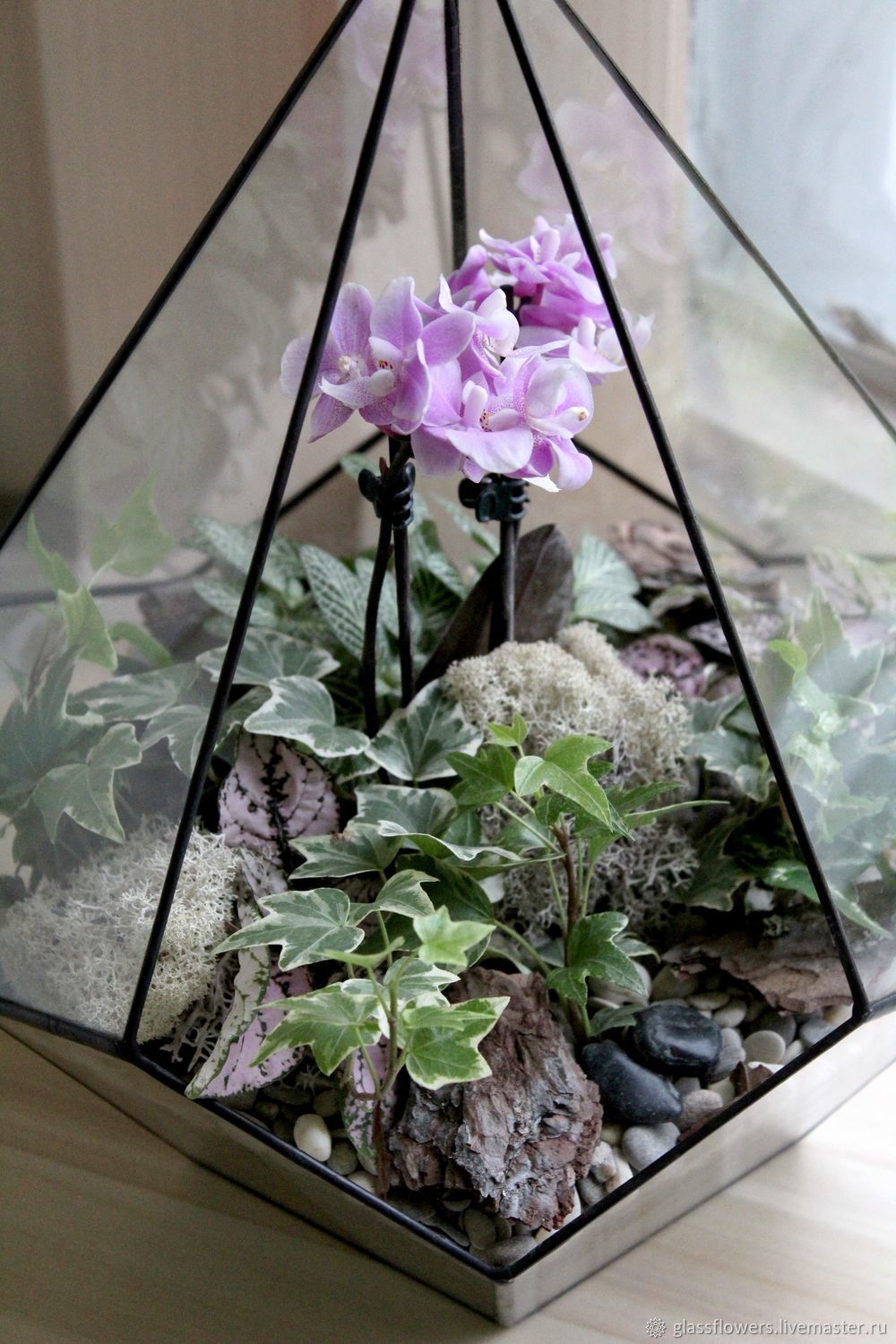 the Floriana, Floriana Orchid, Floriana buy, orchidarium, terrarium, mini garden, garden in a glass terrarium, glassflowers
