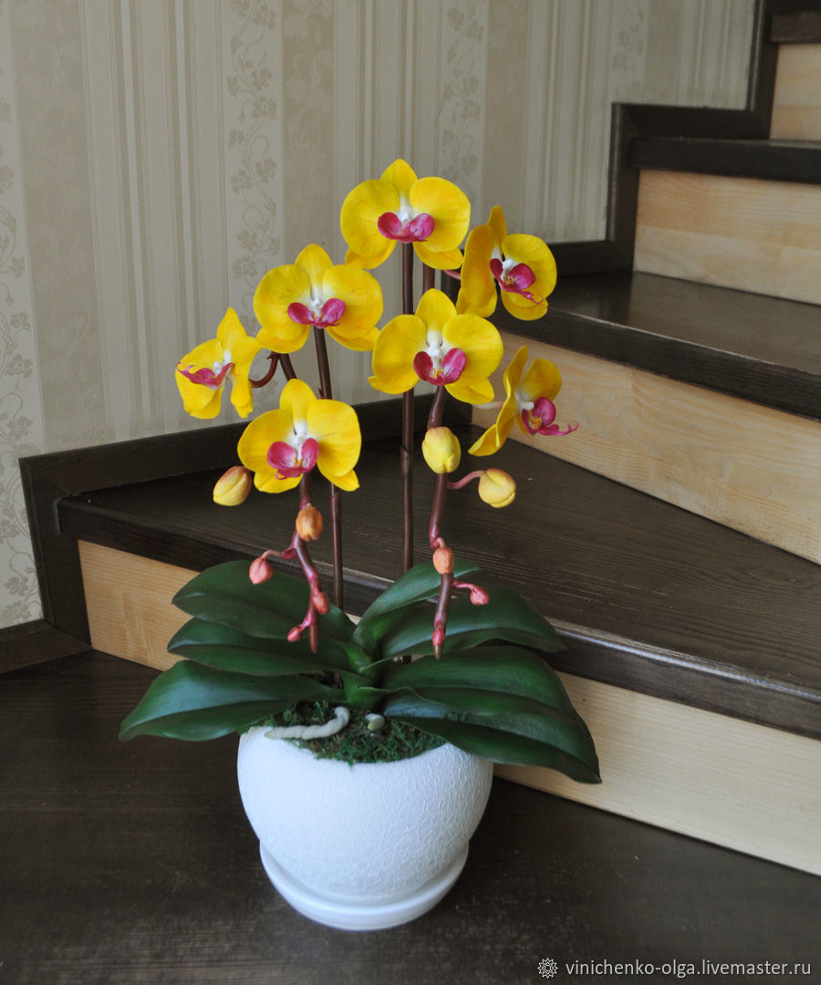 Желтые орхидеи купить с доставкой по Москве