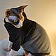 Заказать Одежда для кошек "Худи с капюшоном и с мехом  внутри". Happy-Sphynx. Ярмарка Мастеров. . Одежда для питомцев Фото №3