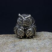 Украшения handmade. Livemaster - original item Postal Owl brass charm. Handmade.
