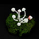 Decorative mushrooms glowing in the dark. Miniature plants and flowers. asbaik (asbaik). My Livemaster. Фото №6