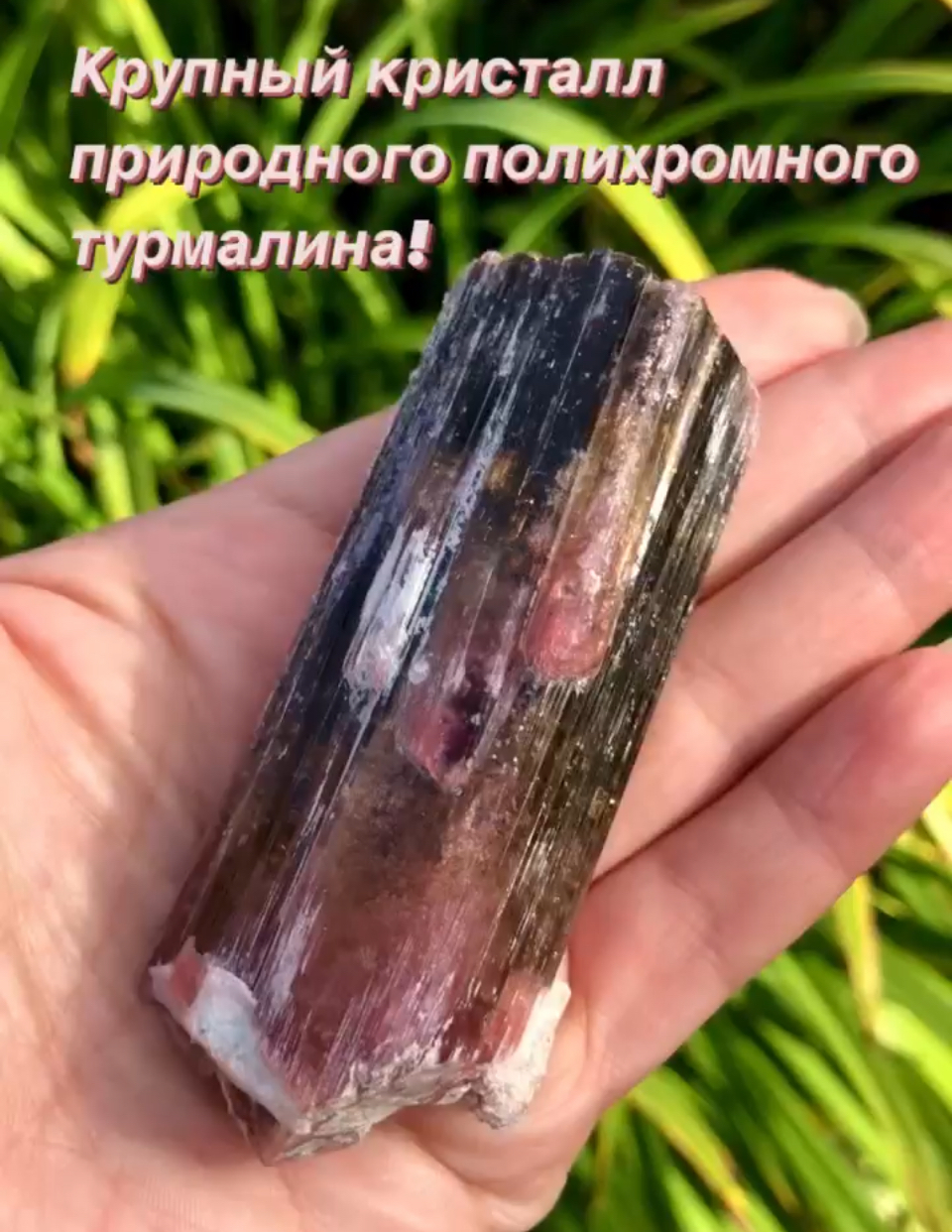 Мой профиль