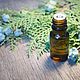 Thuja essential oil 10 ml, Oil, Moscow,  Фото №1