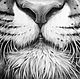 Portrait of a tiger, paper, pencil, 40h40. Pictures. vestnikova. My Livemaster. Фото №4