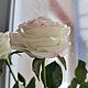 Белые розы из полимерной глины. Букеты. Belasvetlaja. Ярмарка Мастеров.  Фото №4