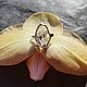 Кольцо с алмазом херкимера. Кольца. Vadjra-jewelry. Ярмарка Мастеров.  Фото №4