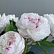 Заказать Пионы из холодного фарфора. Николаева Ирина. Created flowers.. Ярмарка Мастеров. . Элементы интерьера Фото №3