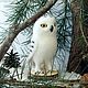 felt toy: Polar owl - interior felted bird made of wool. Felted Toy. Woolen Zoo. My Livemaster. Фото №4