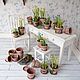 Macetas MK en escala 1k12. Courses and workshops. Country Cottage. Online shopping on My Livemaster.  Фото №2