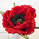 scarlet poppy silk, Flowers, Almaty,  Фото №1